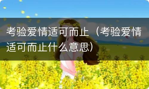 考验爱情适可而止（考验爱情适可而止什么意思）