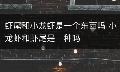 虾尾和小龙虾是一个东西吗 小龙虾和虾尾是一种吗