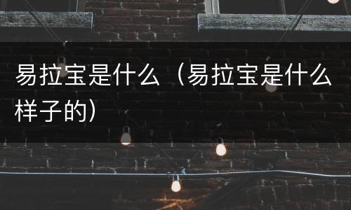 易拉宝是什么（易拉宝是什么样子的）