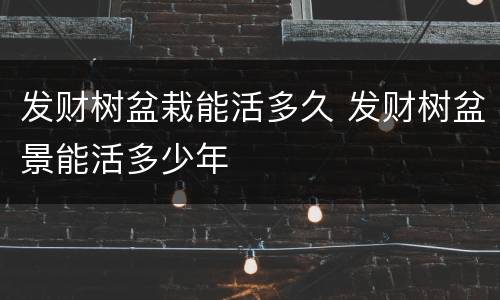 发财树盆栽能活多久 发财树盆景能活多少年