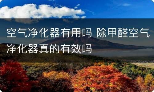 空气净化器有用吗 除甲醛空气净化器真的有效吗