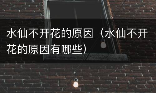水仙不开花的原因（水仙不开花的原因有哪些）