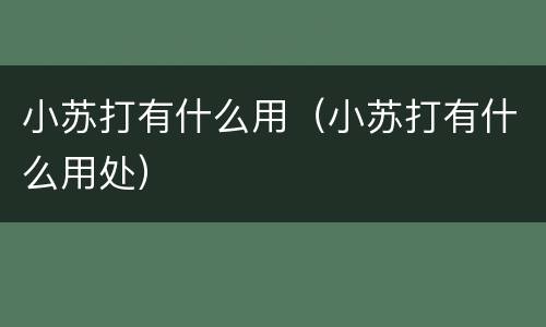 小苏打有什么用（小苏打有什么用处）