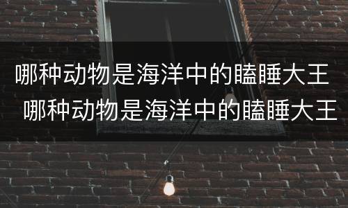 哪种动物是海洋中的瞌睡大王 哪种动物是海洋中的瞌睡大王海豚海象