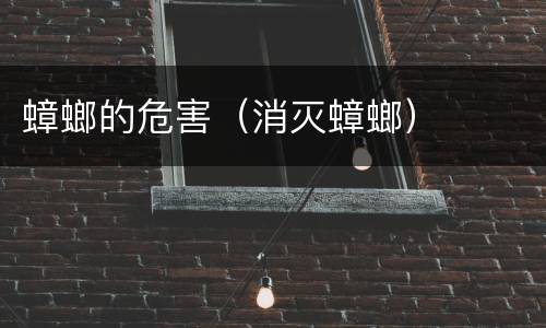 蟑螂的危害（消灭蟑螂）