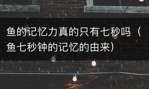鱼的记忆力真的只有七秒吗（鱼七秒钟的记忆的由来）