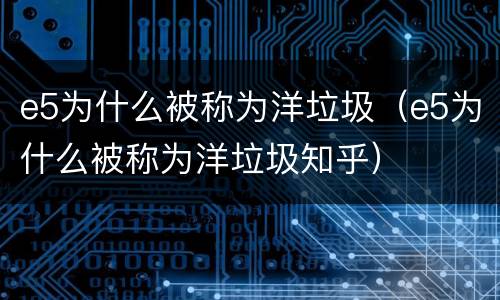 e5为什么被称为洋垃圾（e5为什么被称为洋垃圾知乎）
