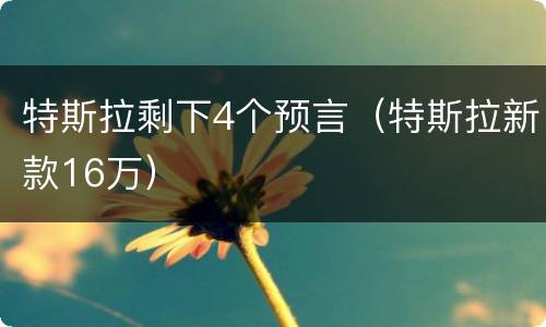 特斯拉剩下4个预言（特斯拉新款16万）