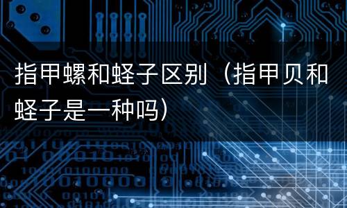 指甲螺和蛏子区别（指甲贝和蛏子是一种吗）