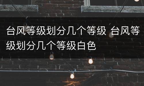 台风等级划分几个等级 台风等级划分几个等级白色