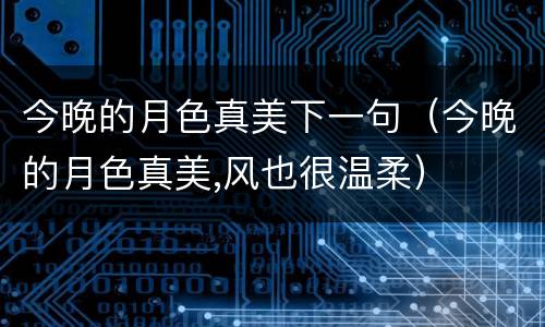 今晚的月色真美下一句（今晚的月色真美,风也很温柔）