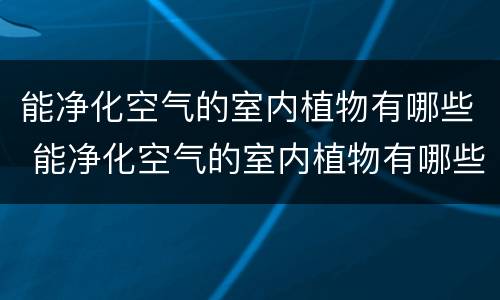 能净化空气的室内植物有哪些 能净化空气的室内植物有哪些香味