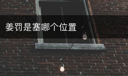 姜罚是塞哪个位置