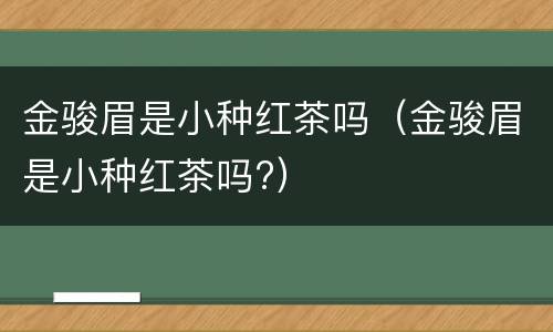 金骏眉是小种红茶吗（金骏眉是小种红茶吗?）