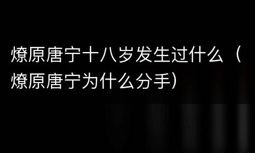 燎原唐宁十八岁发生过什么（燎原唐宁为什么分手）