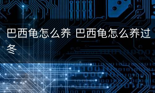 巴西龟怎么养 巴西龟怎么养过冬