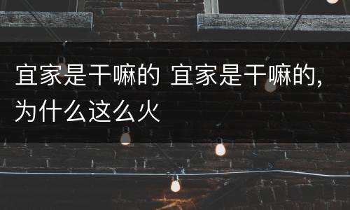 宜家是干嘛的 宜家是干嘛的,为什么这么火