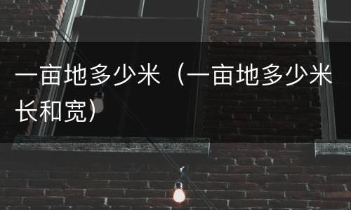 一亩地多少米（一亩地多少米长和宽）