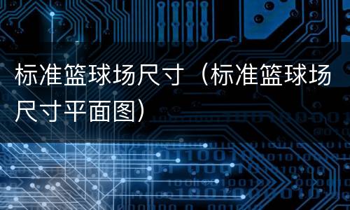 标准篮球场尺寸（标准篮球场尺寸平面图）