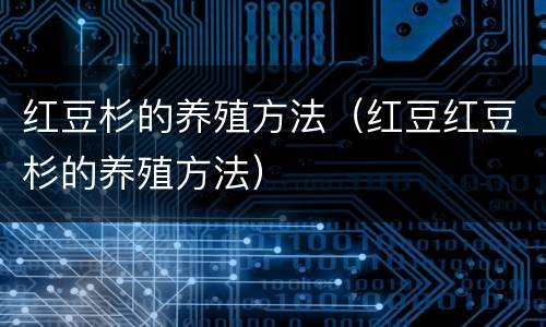 红豆杉的养殖方法（红豆红豆杉的养殖方法）