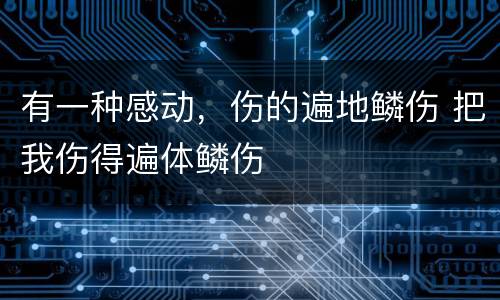 有一种感动，伤的遍地鳞伤 把我伤得遍体鳞伤