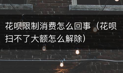 花呗限制消费怎么回事（花呗扫不了大额怎么解除）