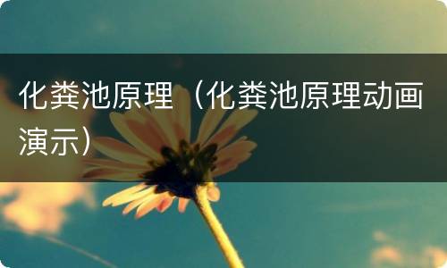 化粪池原理（化粪池原理动画演示）