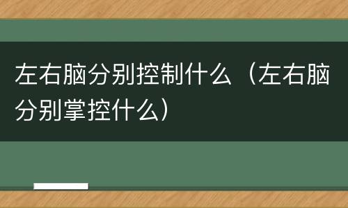 左右脑分别控制什么（左右脑分别掌控什么）