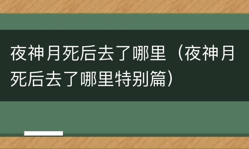 夜神月死后去了哪里（夜神月死后去了哪里特别篇）