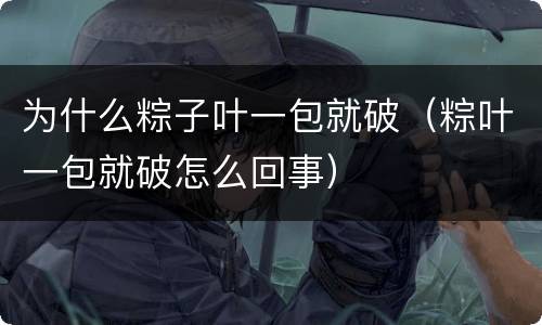 为什么粽子叶一包就破（粽叶一包就破怎么回事）