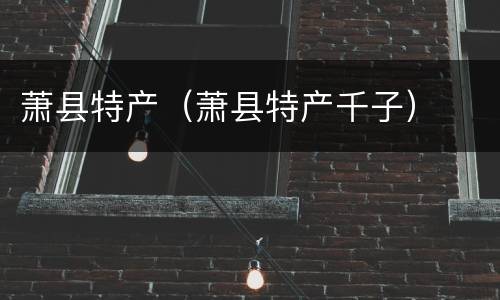 萧县特产（萧县特产千子）