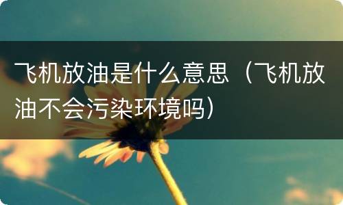 飞机放油是什么意思（飞机放油不会污染环境吗）