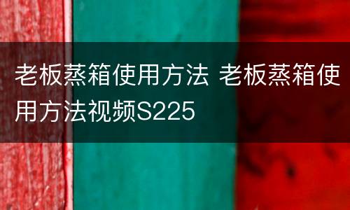 老板蒸箱使用方法 老板蒸箱使用方法视频S225