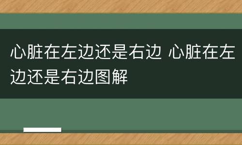 心脏在左边还是右边 心脏在左边还是右边图解