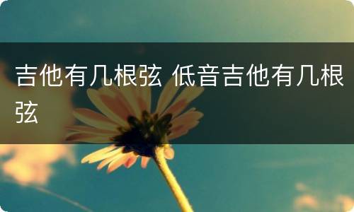 吉他有几根弦 低音吉他有几根弦