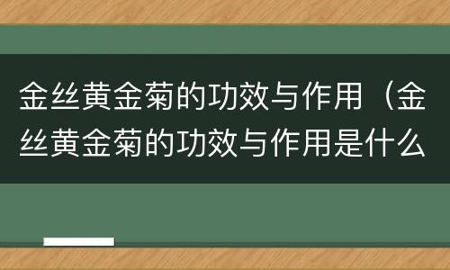 金丝黄金菊的功效与作用（金丝黄金菊的功效与作用是什么）