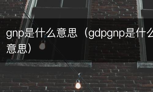 gnp是什么意思（gdpgnp是什么意思）