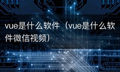 vue是什么软件（vue是什么软件微信视频）
