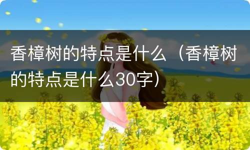 香樟树的特点是什么（香樟树的特点是什么30字）