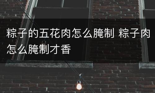 粽子的五花肉怎么腌制 粽子肉怎么腌制才香