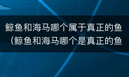 鲸鱼和海马哪个属于真正的鱼（鲸鱼和海马哪个是真正的鱼）