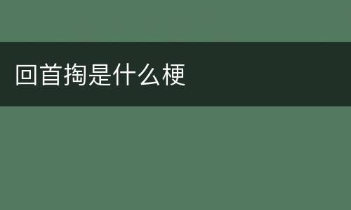 回首掏是什么梗