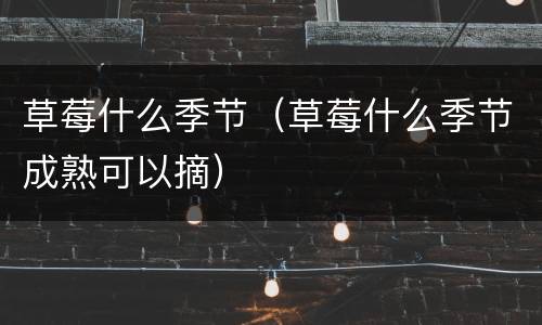 草莓什么季节（草莓什么季节成熟可以摘）