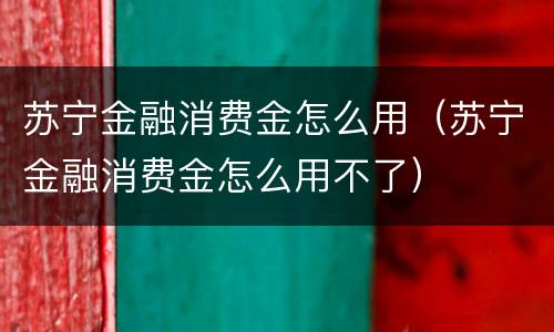 苏宁金融消费金怎么用（苏宁金融消费金怎么用不了）