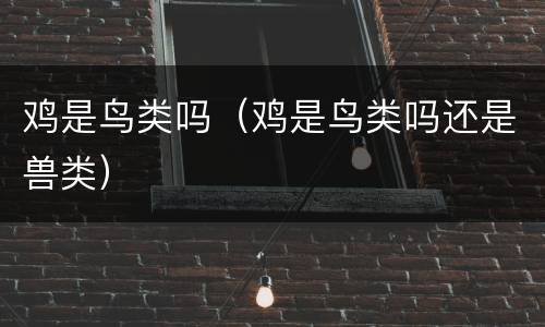 鸡是鸟类吗（鸡是鸟类吗还是兽类）