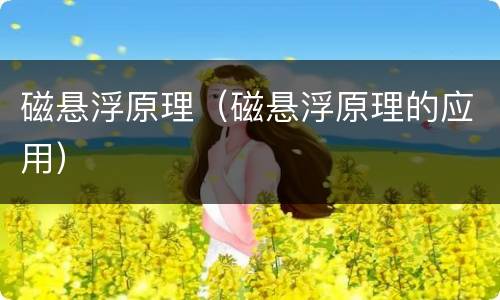 磁悬浮原理（磁悬浮原理的应用）