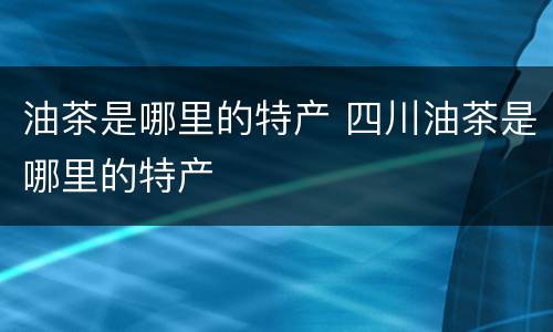 油茶是哪里的特产 四川油茶是哪里的特产