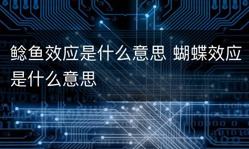 鲶鱼效应是什么意思 蝴蝶效应是什么意思