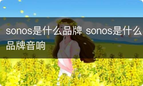 sonos是什么品牌 sonos是什么品牌音响