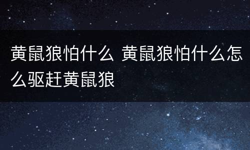 黄鼠狼怕什么 黄鼠狼怕什么怎么驱赶黄鼠狼